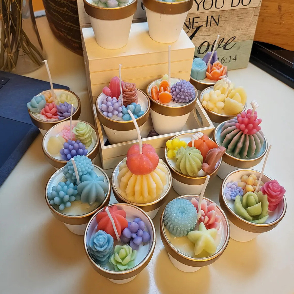 6pcs Succulent Silicone Candle - đánh giá và giá Candle Making Reno